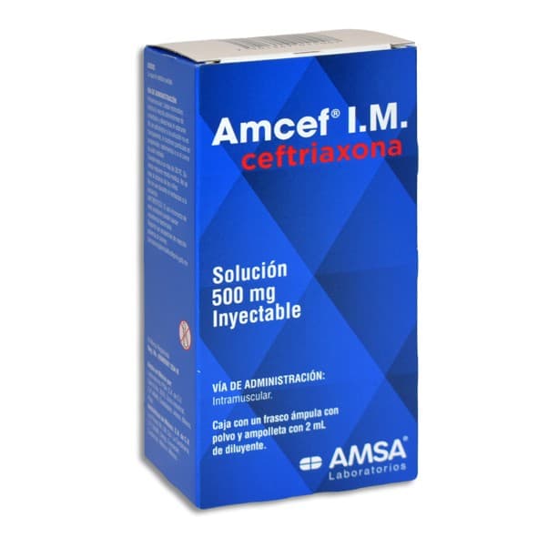 Amcef I.m. Sol. Iny. C/1 Fco. Amp. 500 Mg/2 Ml.