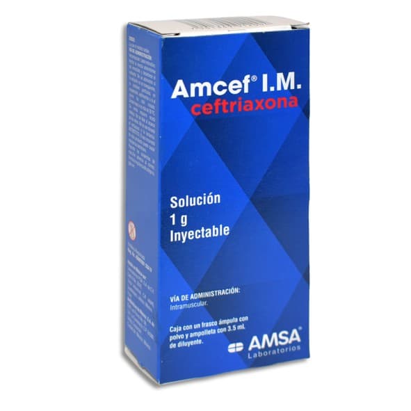 Amcef I.m. Sol. Iny. C/1 Fco. Amp. 1 G/3.5 Ml.