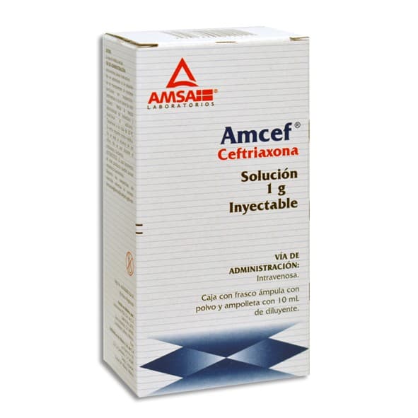 Amcef I.v. Sol. Iny. C/1 Fco. Amp. 1 G/10 Ml.