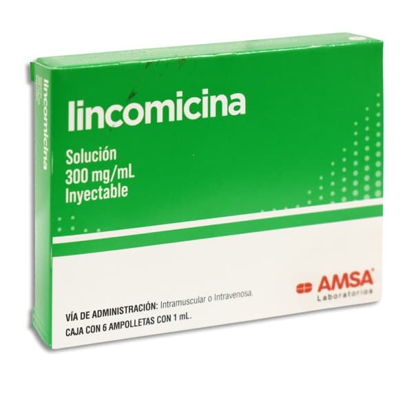 Lincomicina (amsa) Sol. Iny. C/6 Amptas. 300 Mg/1 Ml..