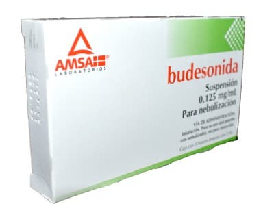 Budesonida (amsa) Susp. P/nebn. C/5 Fcos. Amp. 0.250 Mg/2 Ml.