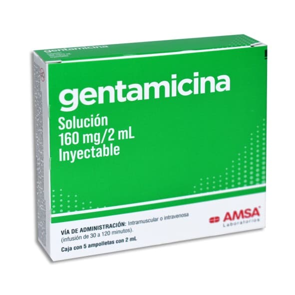 Gentamicina (amsa) Sol. Iny. C/5 Amptas. 160 Mg/2 Ml..
