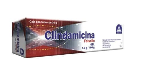 Feisclin Gel Tubo C/30 G. 1.0 G/100 G.