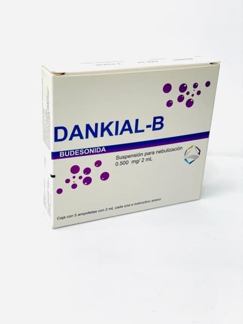 Dankial-b Susp. P/nebn. C/5 Amptas. 0.500 Mg/2 Ml.
